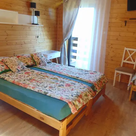 Homestay Sakura *